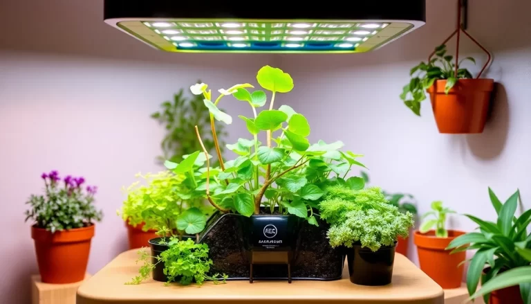 AeroGarden regresa para alegría de los jardineros hidropónicos