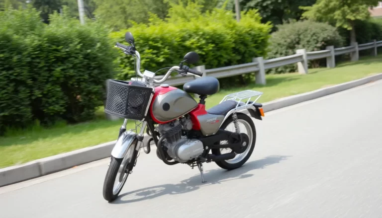Cortadora asequible con motor de marca reconocida y calidad garantizada
