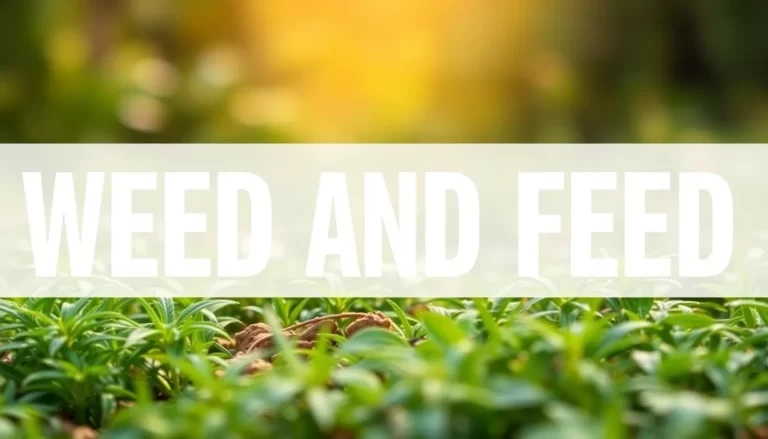 Descubre el mejor Weed and Feed tras 8 semanas de pruebas