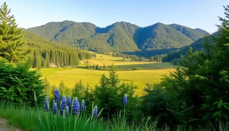 Las 7 plantas más longevas para el paisaje de tu hogar