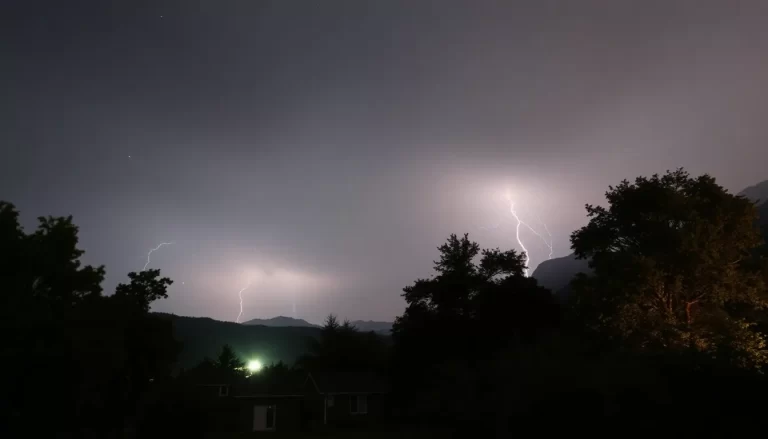 Probamos luces solares para cercas en tormentas, estas fueron las más brillantes